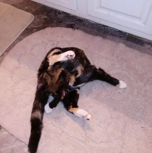 Meet your Posher, Eddie